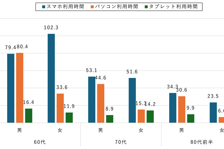 2025年シニア調査