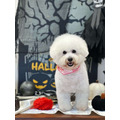 フィオハロウィン